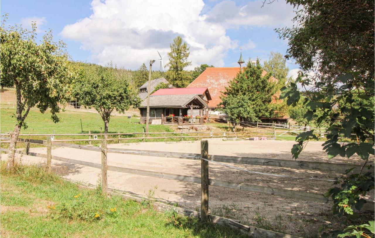 Nice home in Schonach im Schwarzwal with WiFi&2 Bedrooms Schonach im Schwarzwald Exterior foto